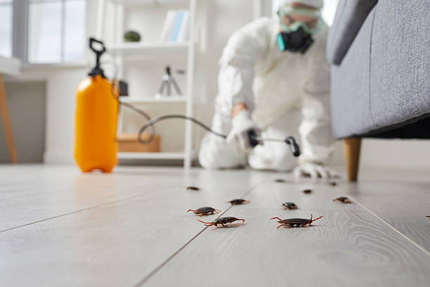 Commercial Kitchen Cockroach Control in Liberty
